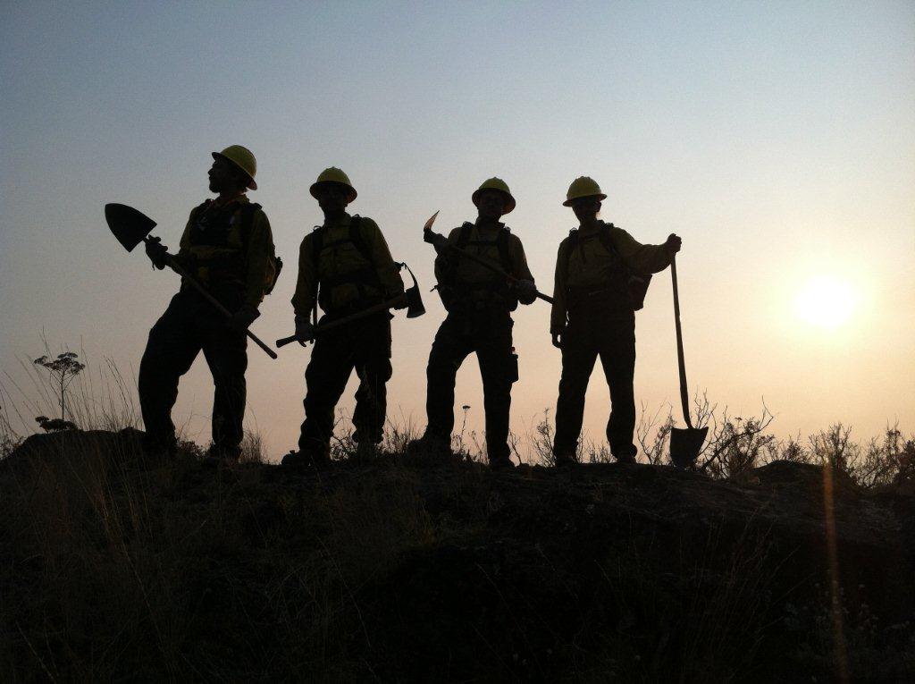 Washington Conservation Corps (WCC) AmeriCorps Member (Multiple Openings) description image